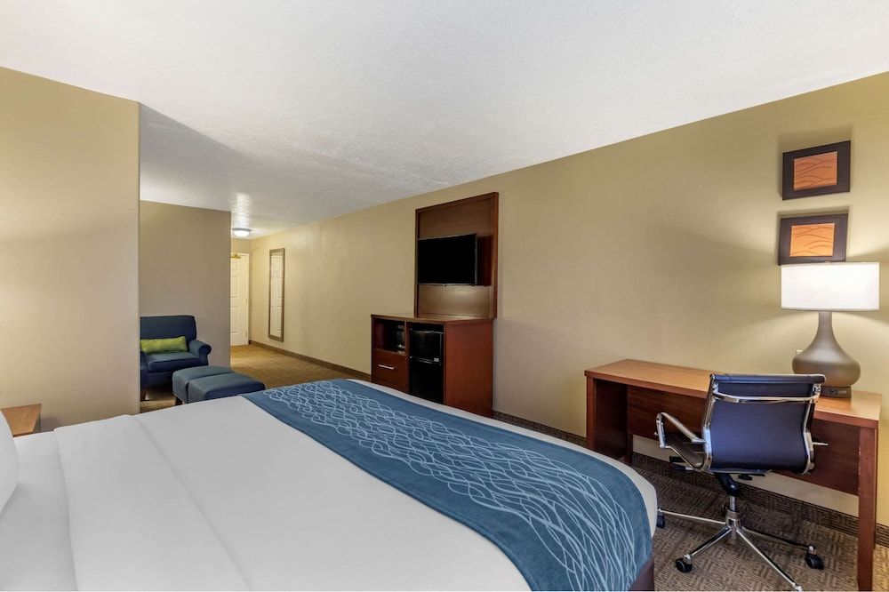 Standard Room, 1 King Bed, Non Smoking