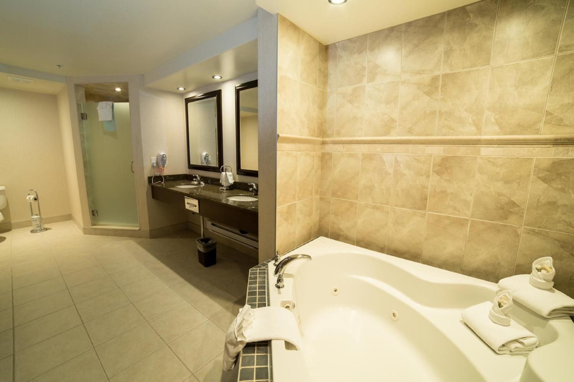 1 King Bed Suite Additional Living Area