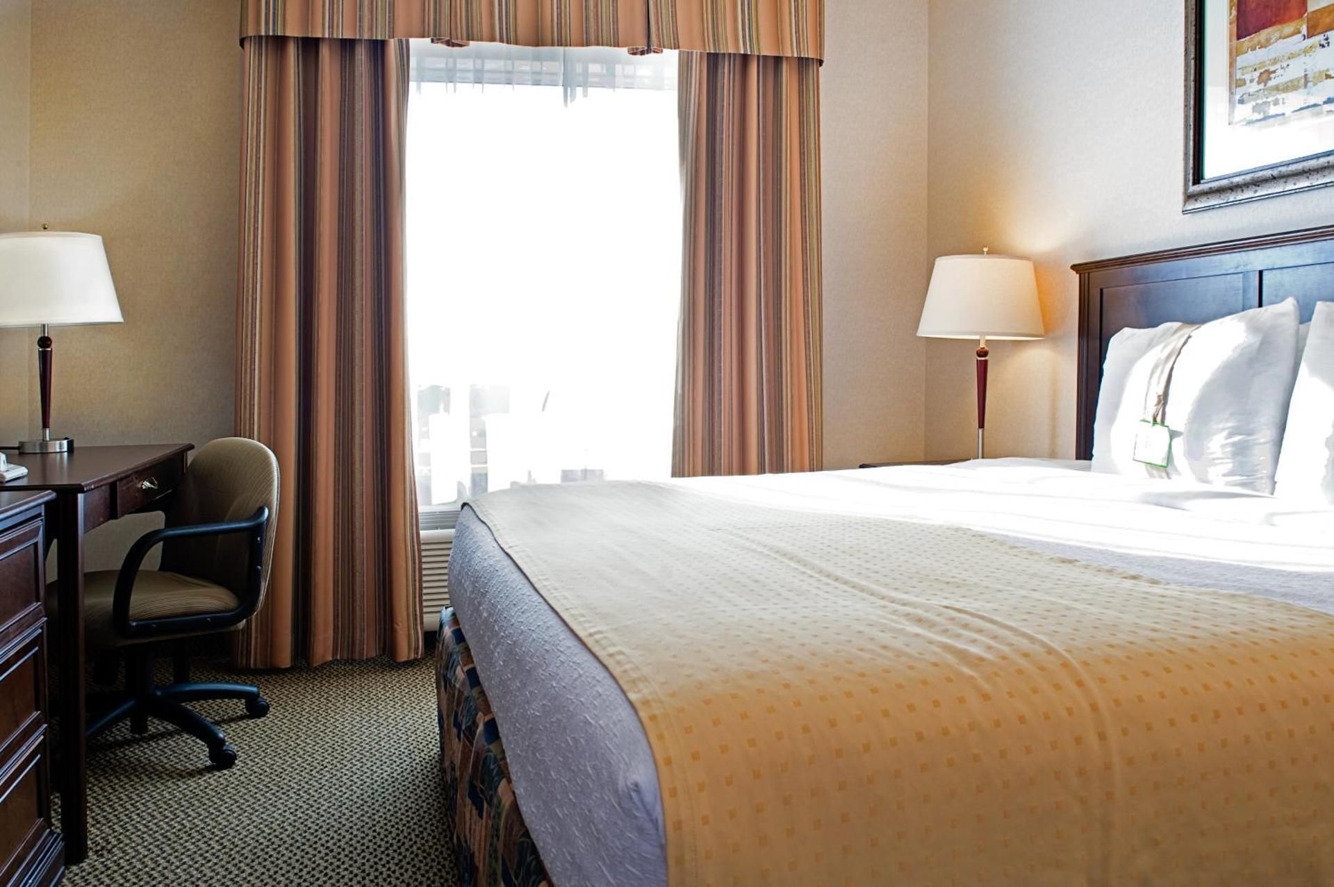 1 King Bed Suite