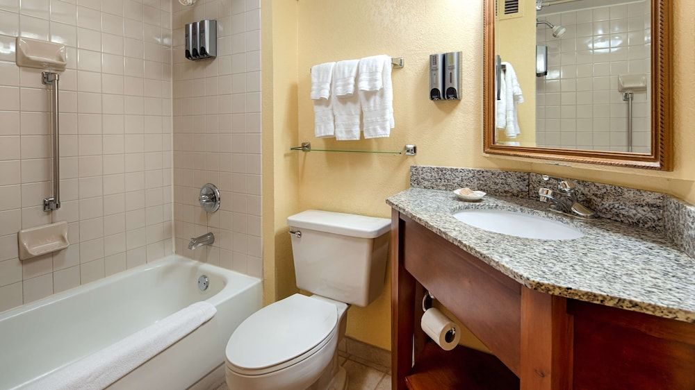 Best Western Plus Richmond Airport Hotel Standard Room, 1 King Bed, Non Smoking, Refrigerator & Microwave 7