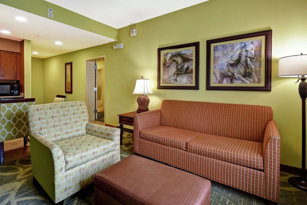 Suite, Accessible (Roll-in Shower)