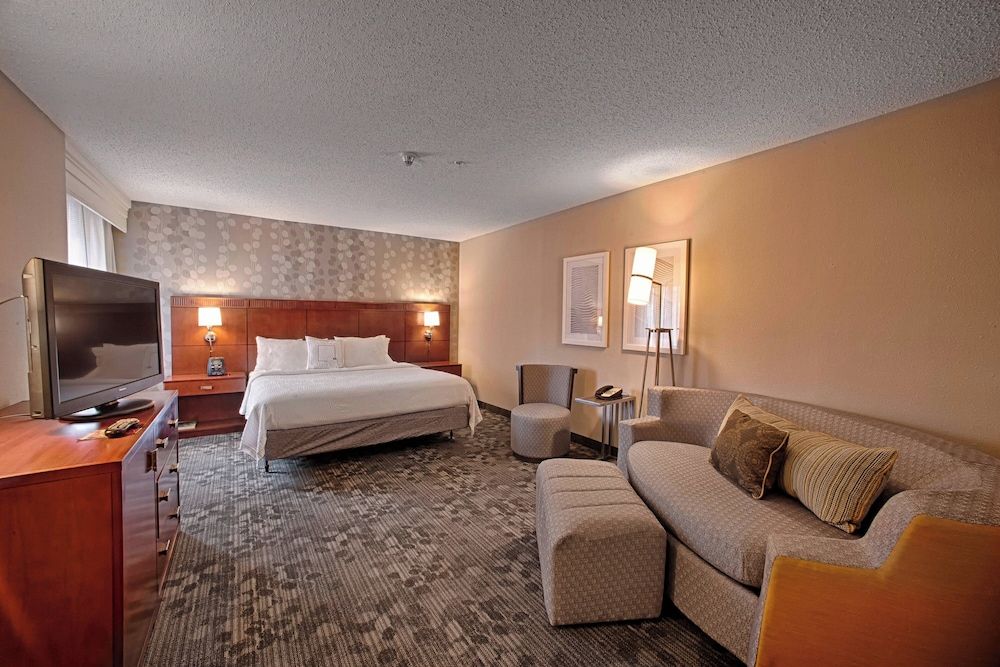 Suite, 1 King Bed with Sofa bed