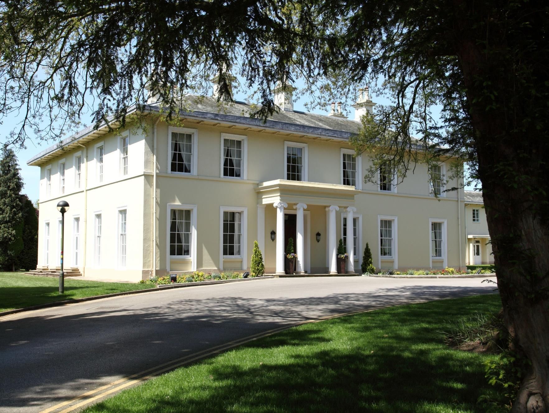 Primary Image