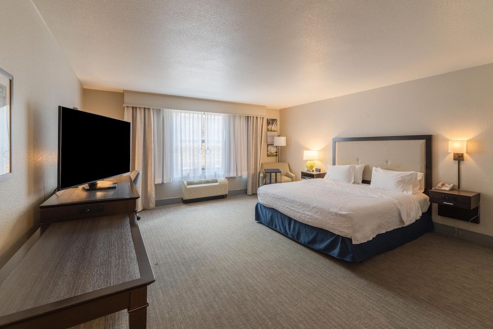 Room, 1 King Bed, Accessible