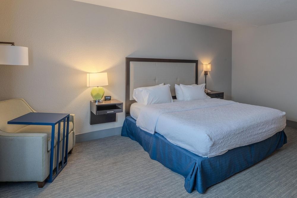 Room, 1 King Bed, Accessible