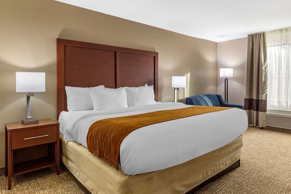 Standard Room, 1 King Bed, Non Smoking