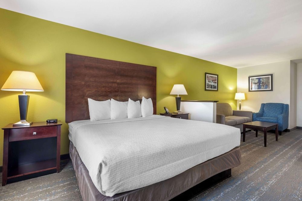 Suite, 1 King Bed, Non Smoking, Microwave (with Sofabed)