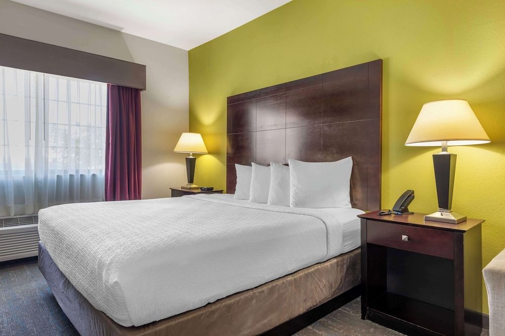 Standard Room, 1 King Bed, Non Smoking, Refrigerator & Microwave