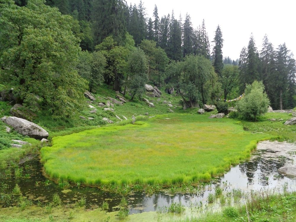The Himalayan Alpine Resort, Manali