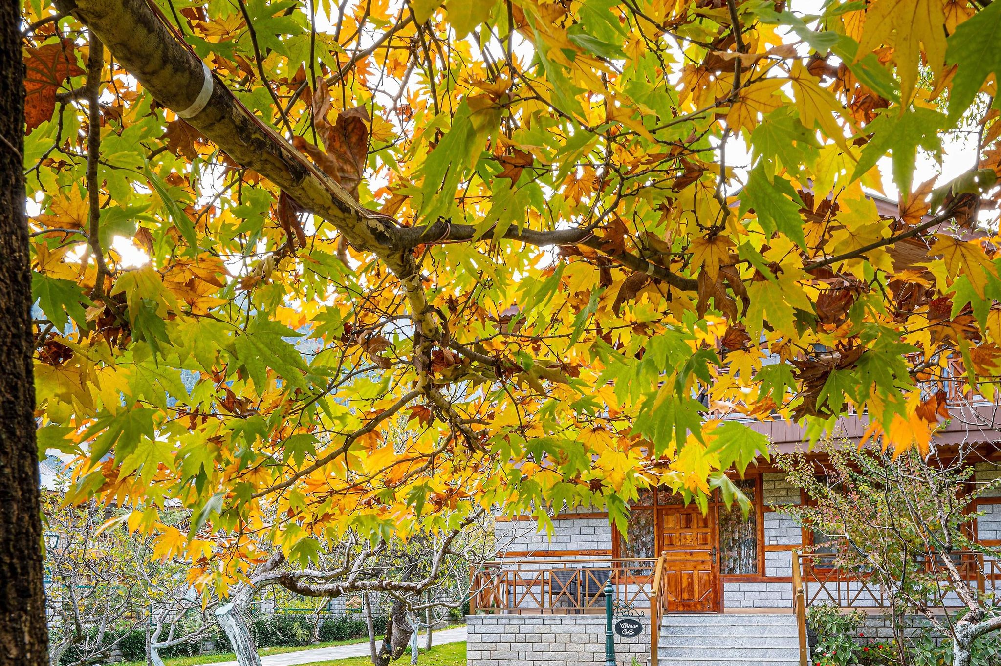 undefined WelcomHeritage Urvashi's Retreat 9