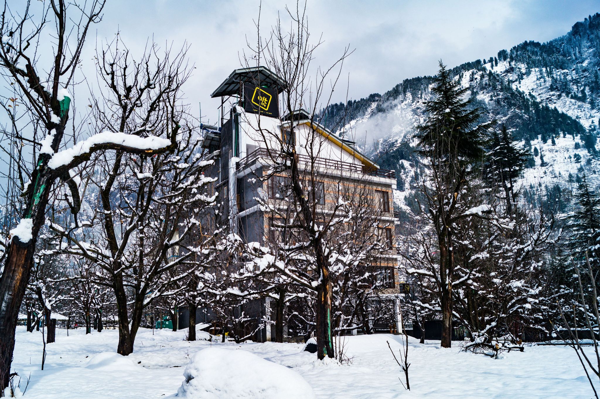 ALt Life - Manali 