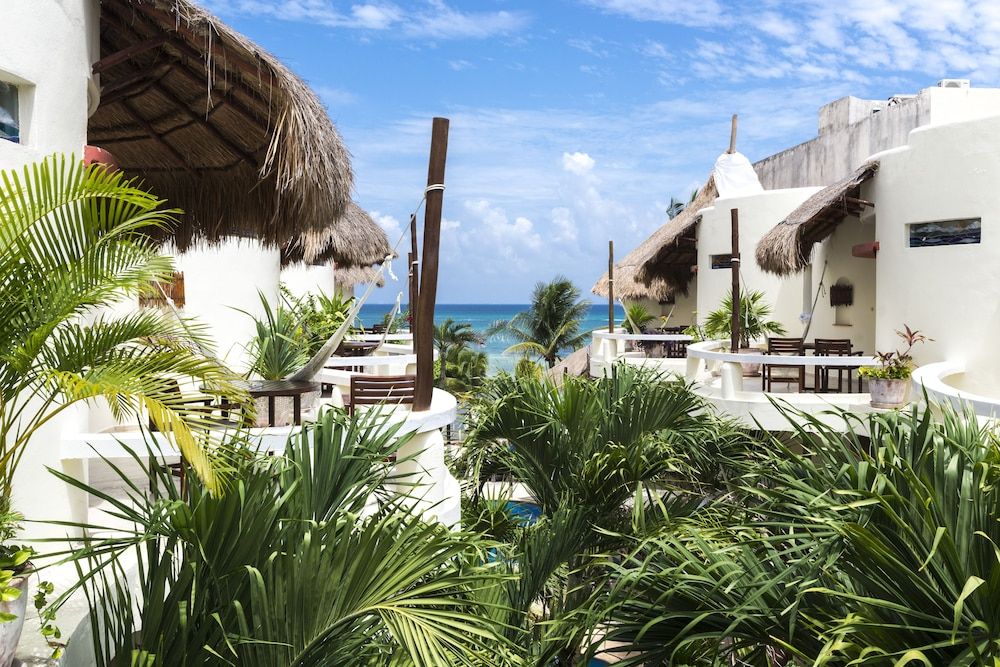 undefined Playa Palms Beach Hotel 3