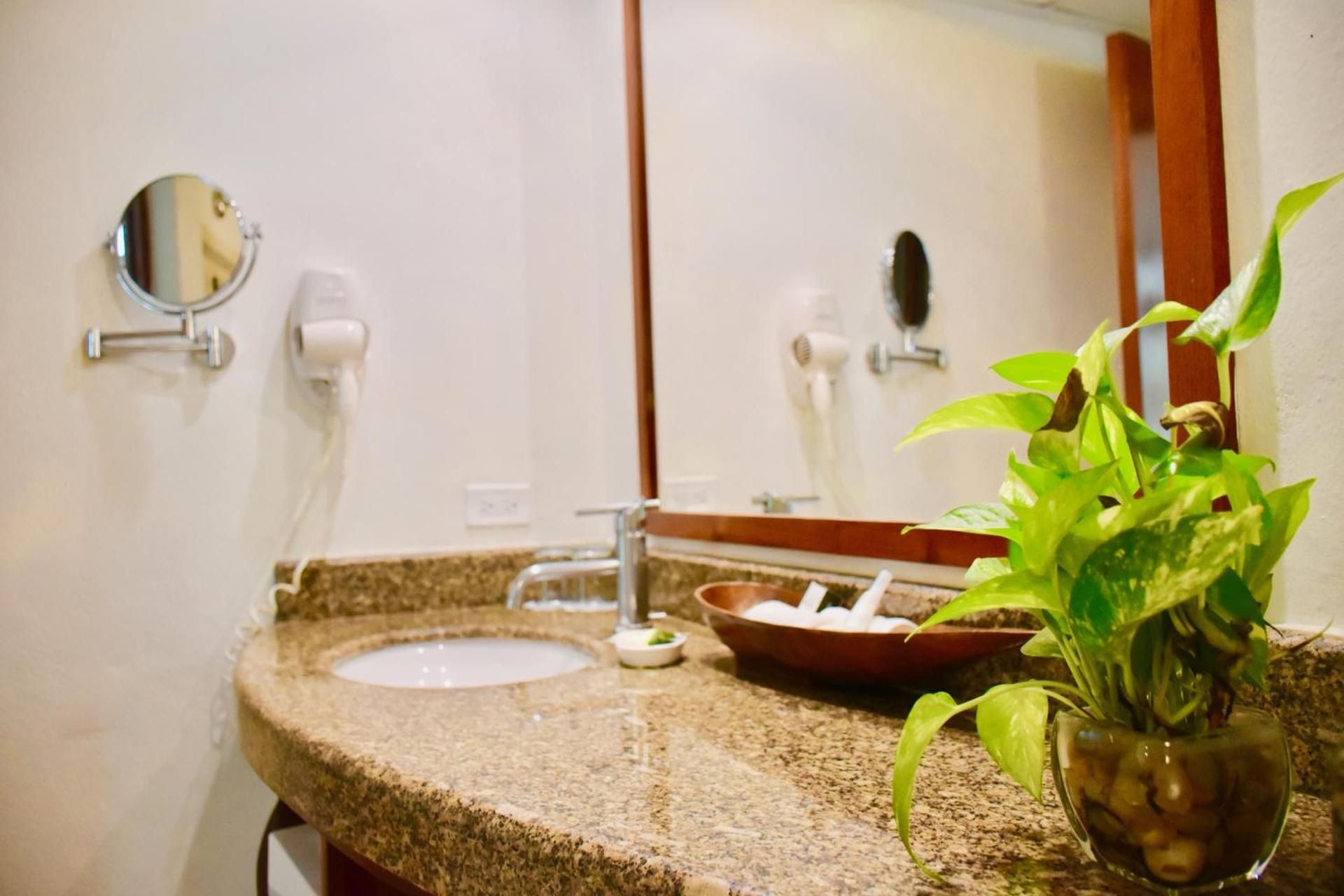 1 Bedroom Suite