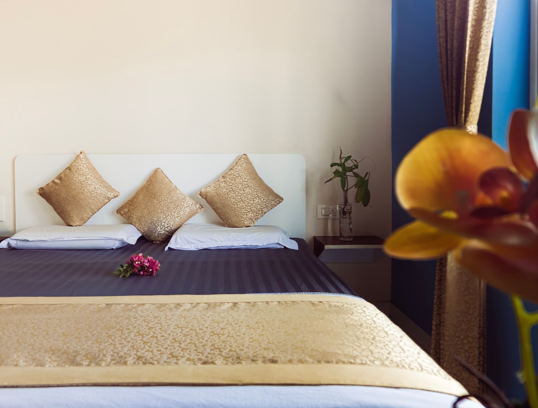 The Cocoon Double occupancy Non AC Deluxe 2