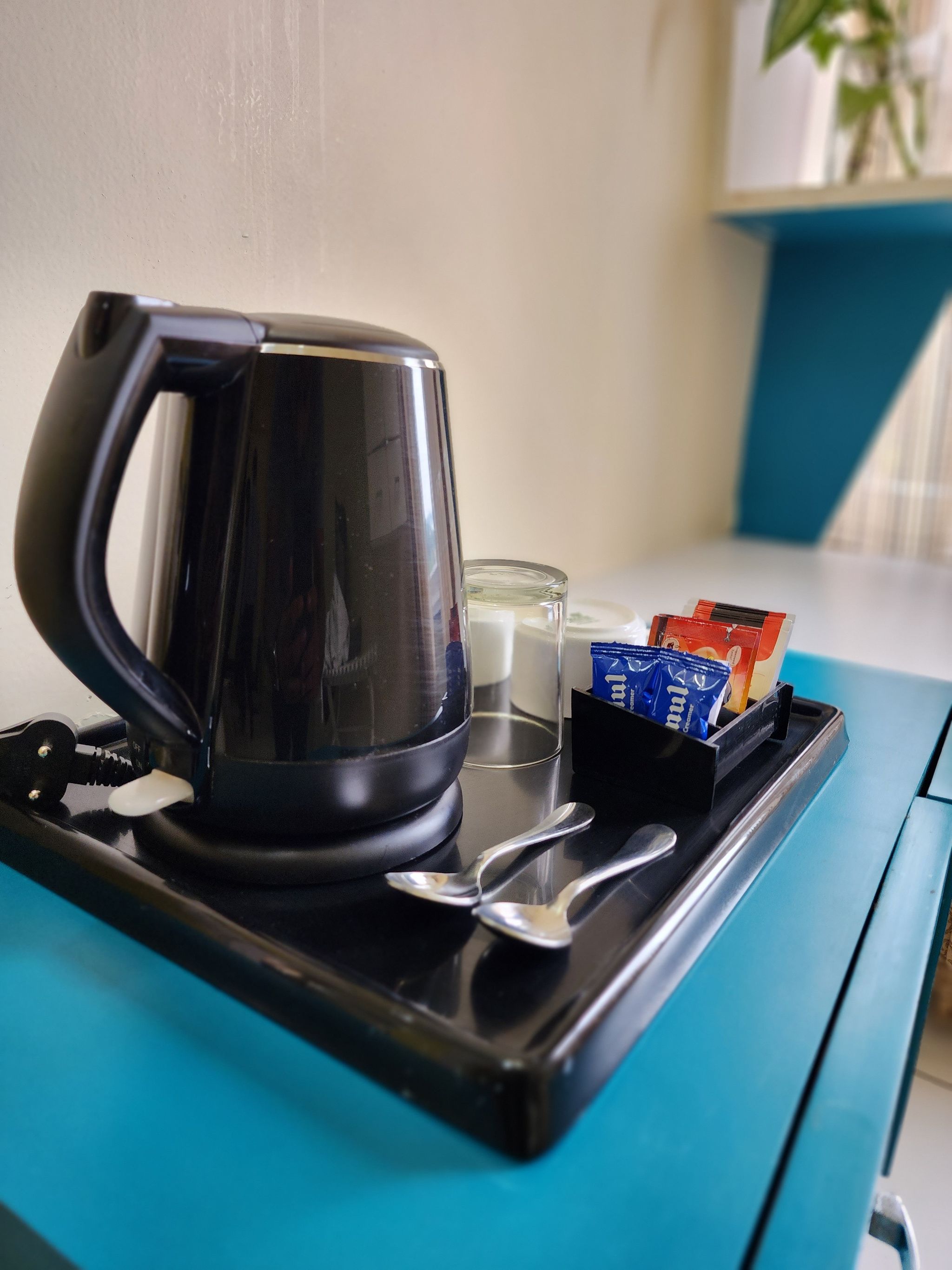 The Cocoon Double occupancy Non AC Deluxe 8