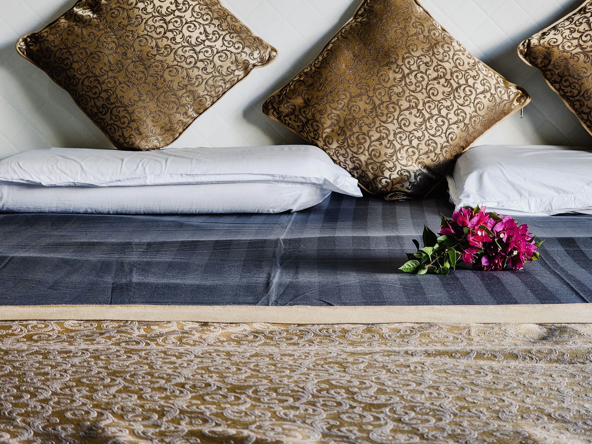 The Cocoon Double occupancy Non AC Deluxe