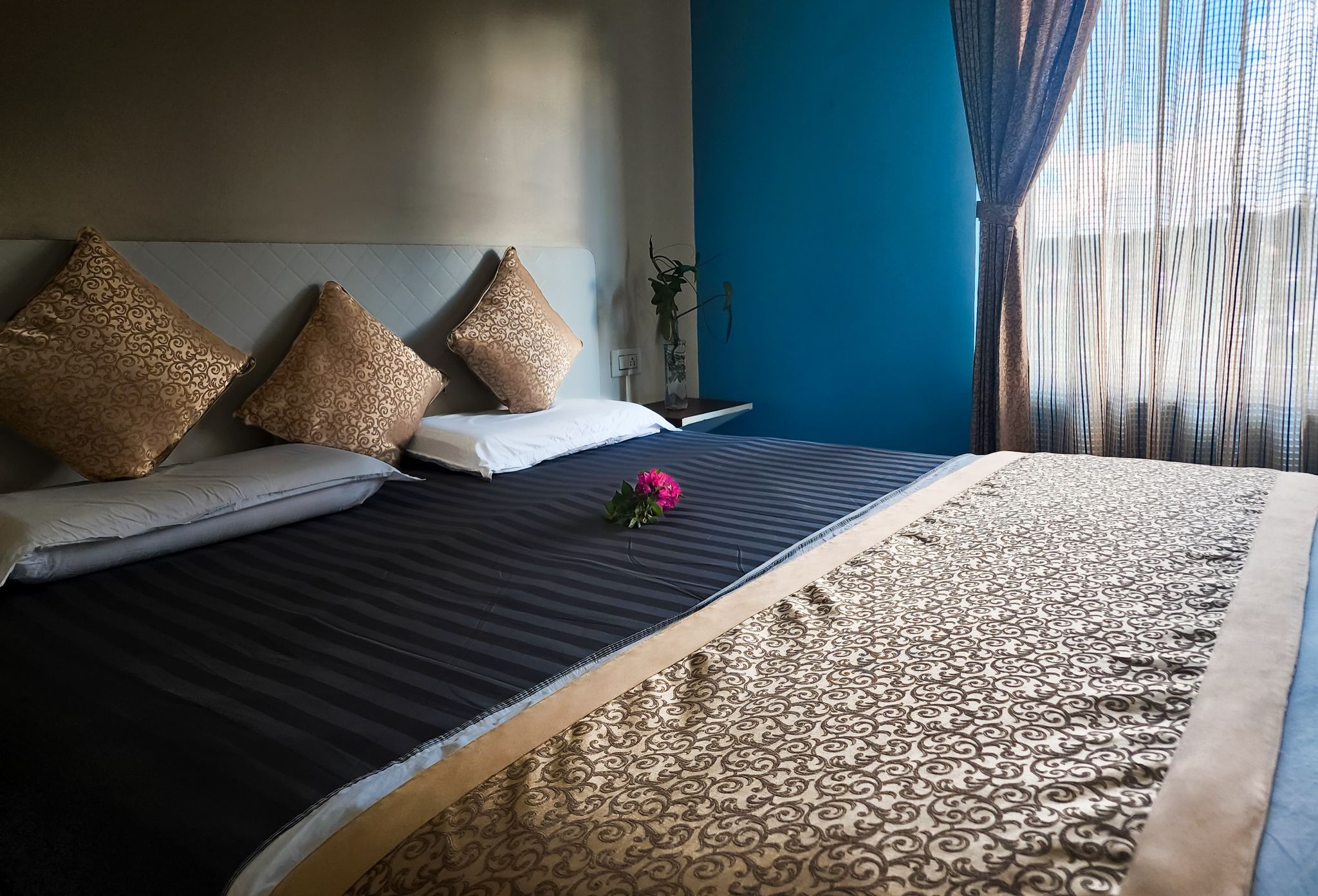 The Cocoon Double occupancy Non AC Deluxe 4