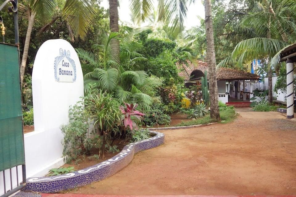 undefined Coco Banana 9