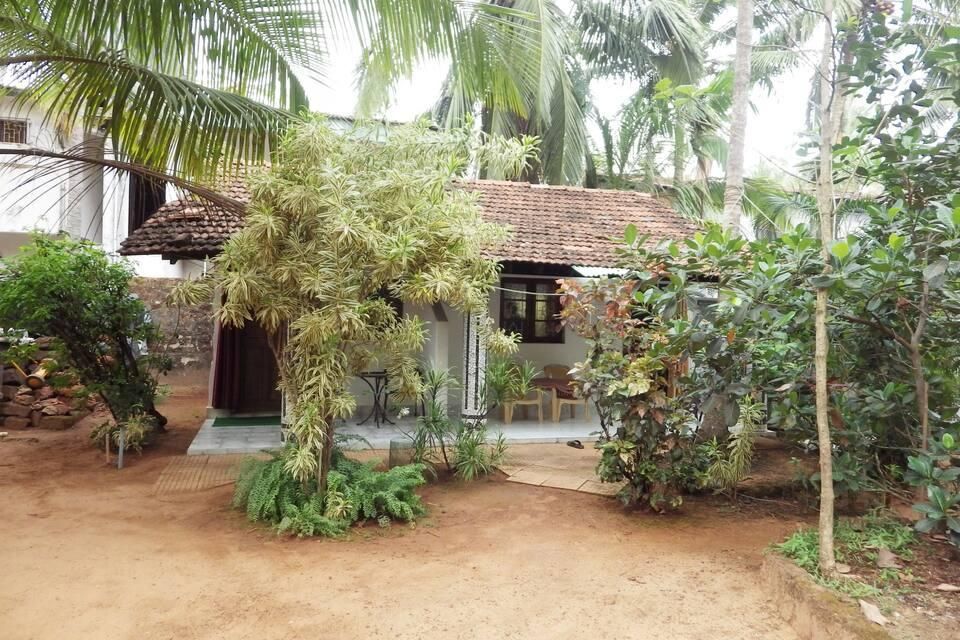 undefined Coco Banana 8