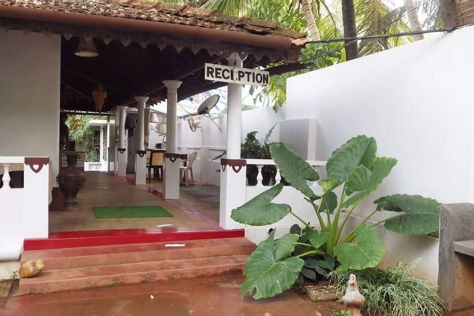 undefined Coco Banana