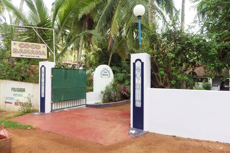 undefined Coco Banana 6