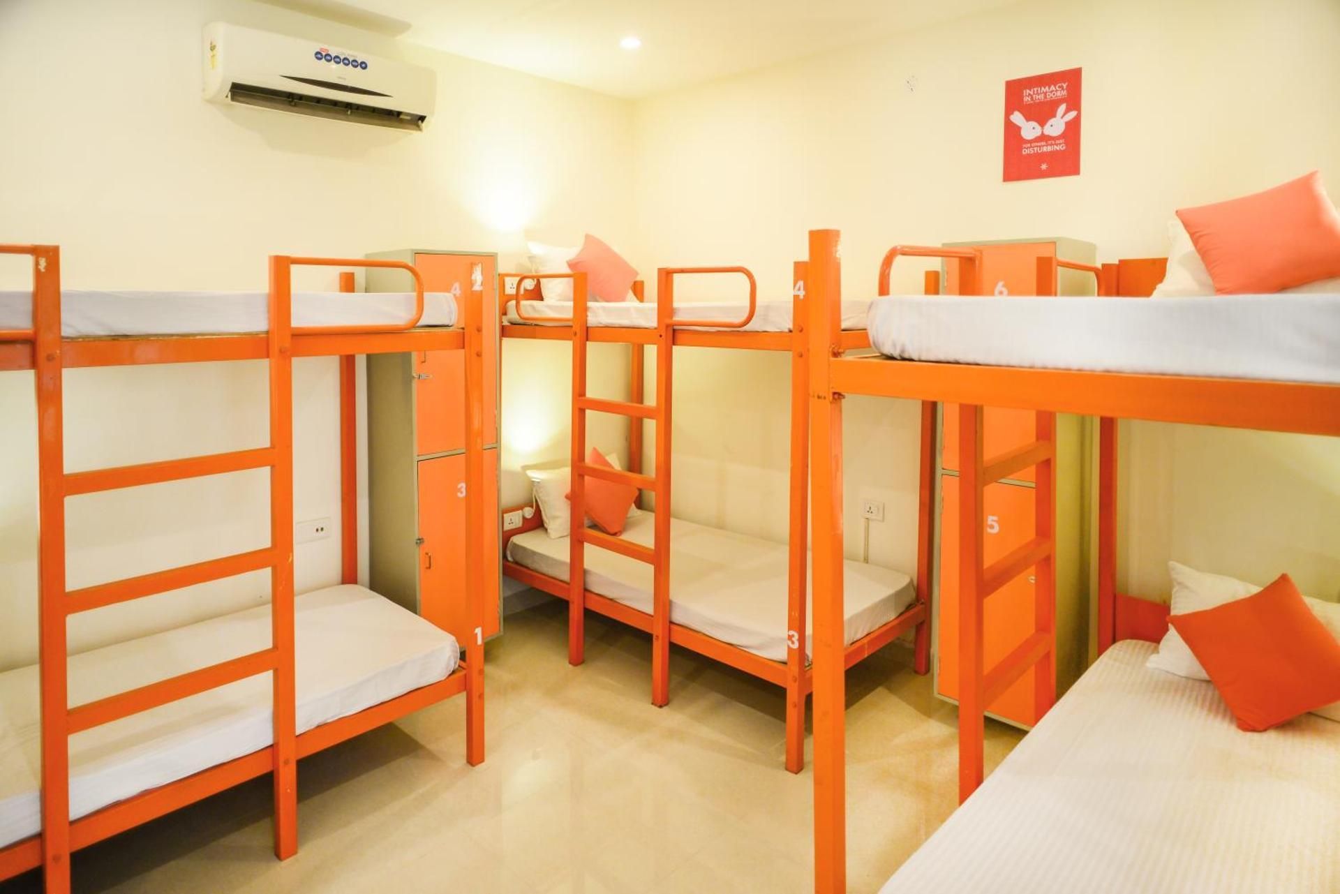 undefined Zostel Jaipur 6