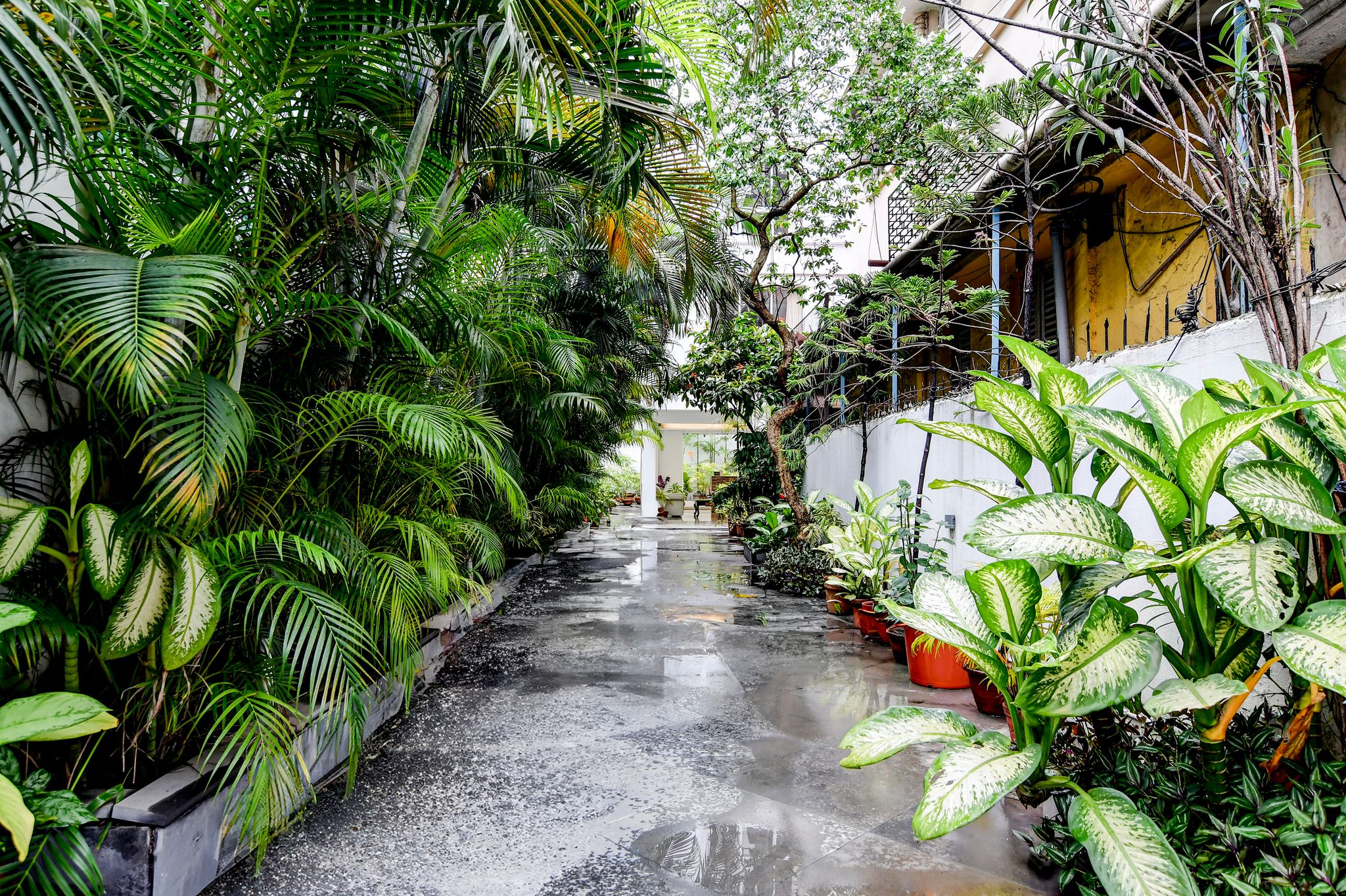 undefined The Residency 8