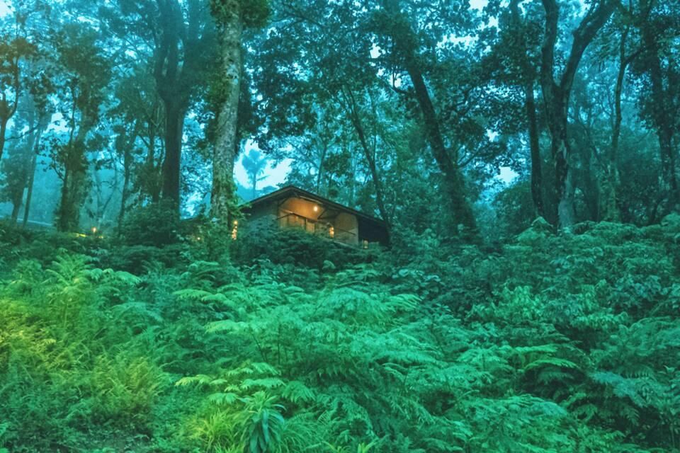 undefined WelcomHeritage Ayatana, Coorg The Western Ghats 9