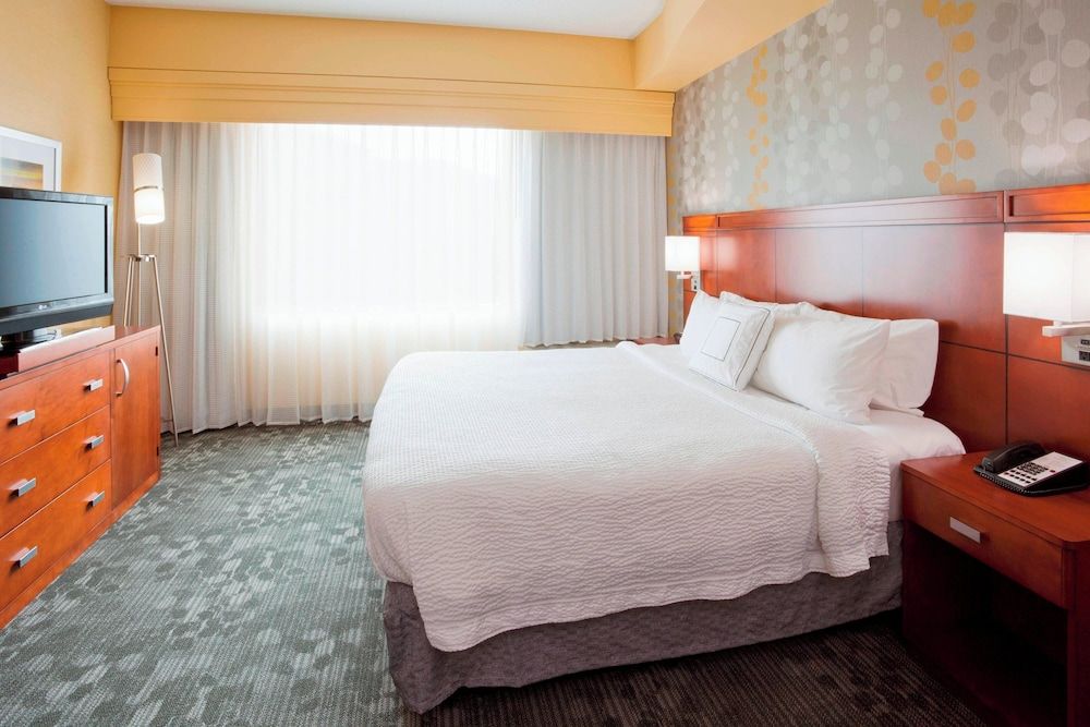 Room, 1 King Bed with Sofa bed (Hearing Accessible)