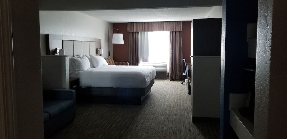 Suite, 1 King Bed, Accessible