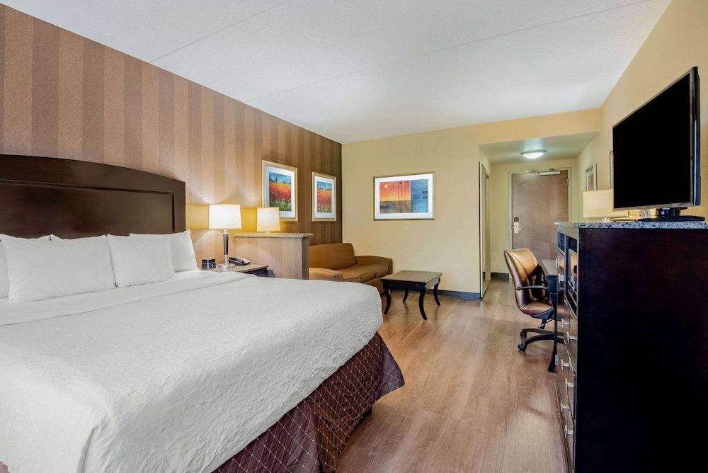 Studio Suite, 1 King Bed with Sofa bed, Non Smoking