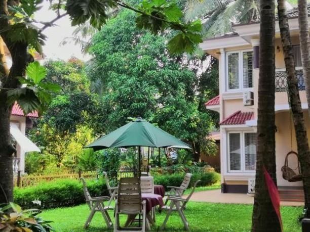 undefined Elegant Shades 2