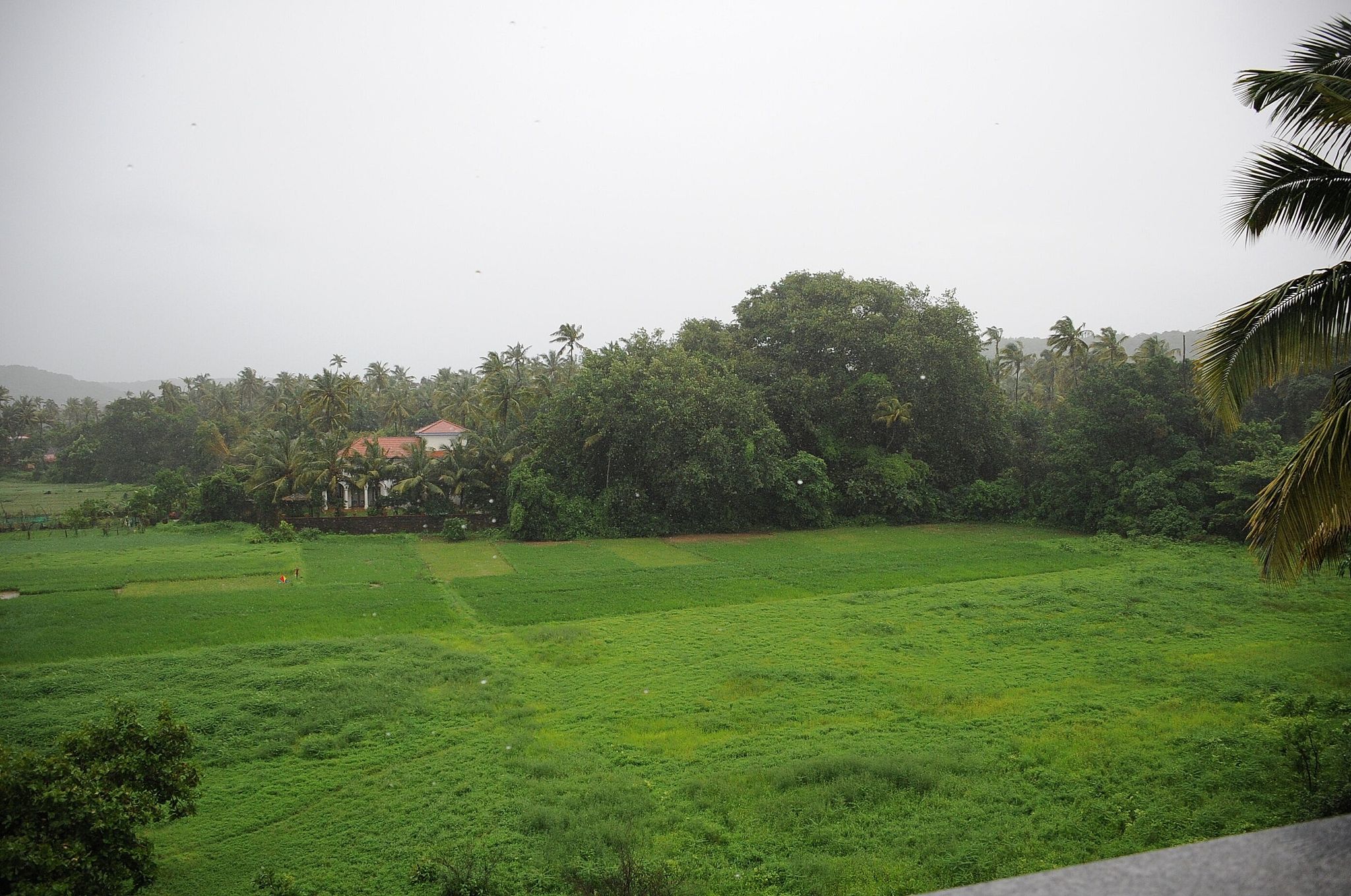 undefined JW Heritage Hotel 3