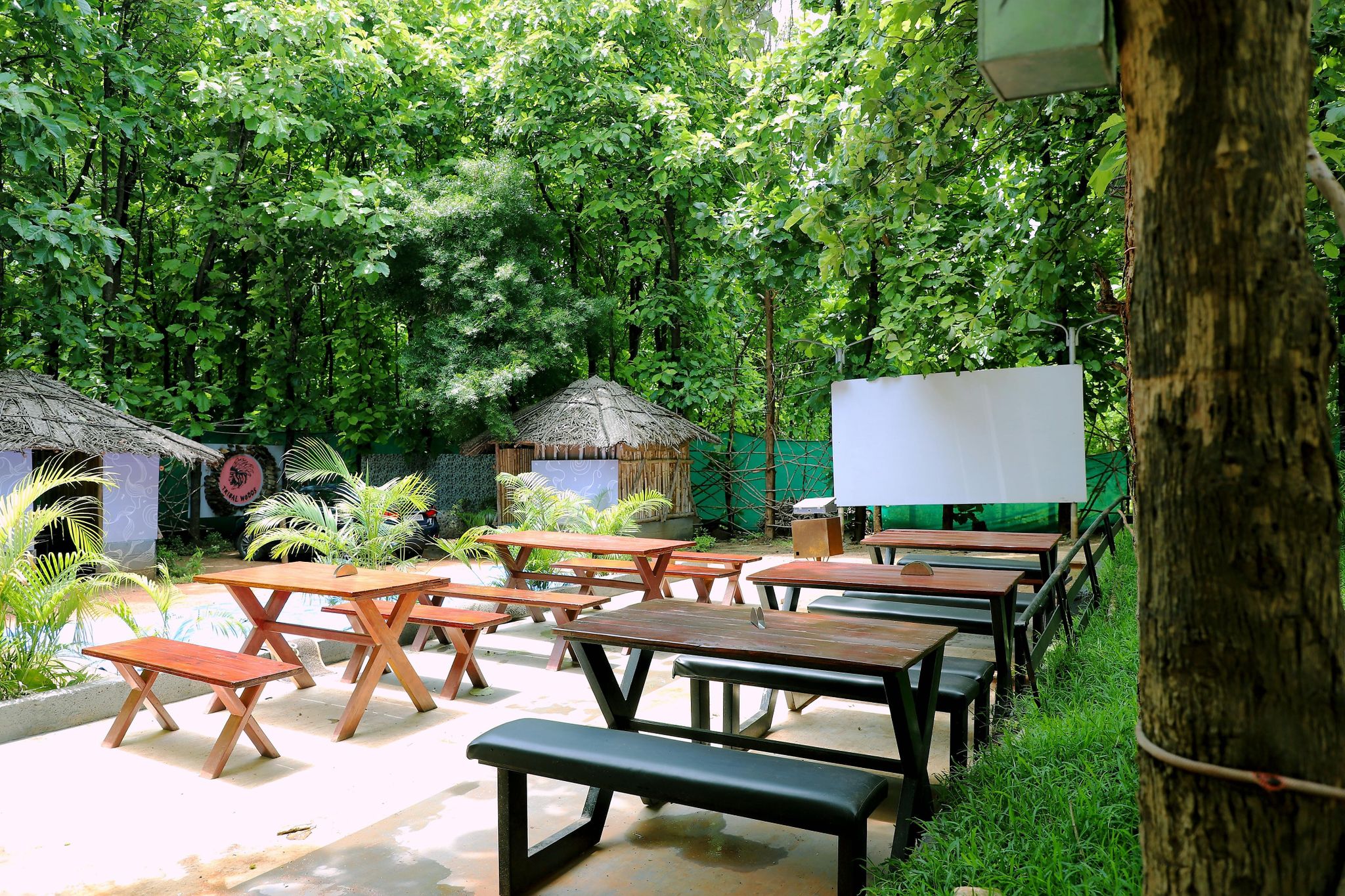 undefined GREEN ORCHID RESORTS 3