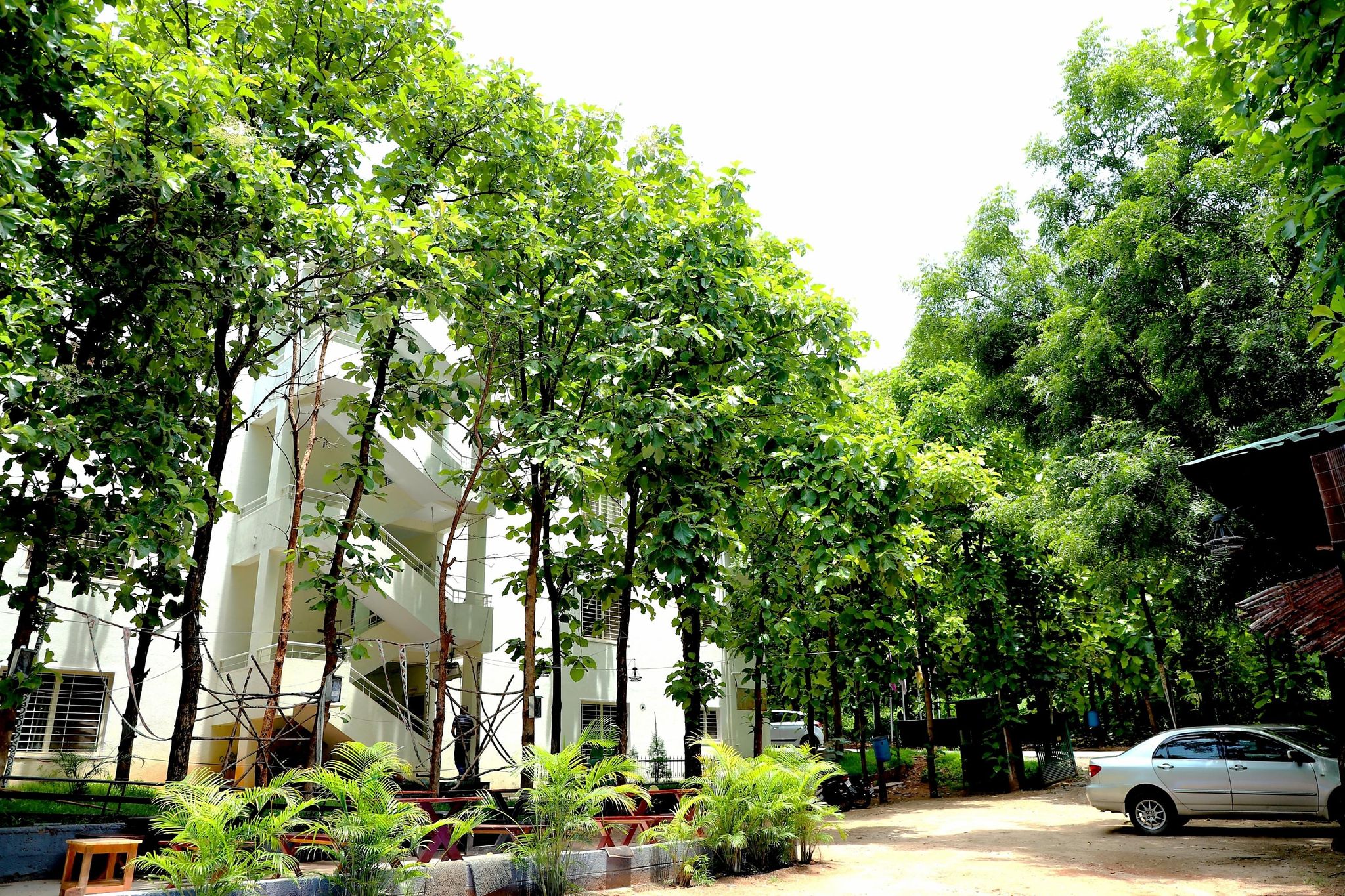 undefined GREEN ORCHID RESORTS 4