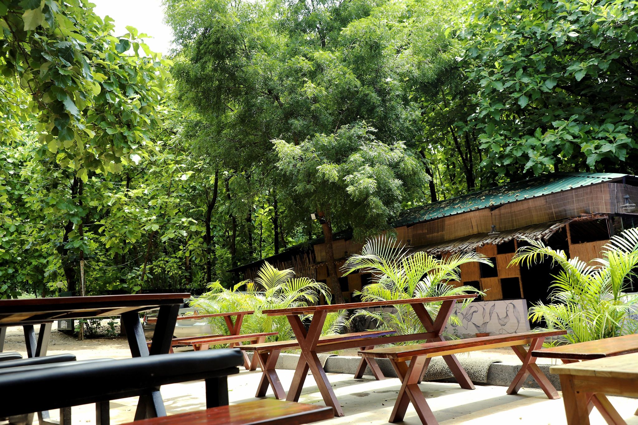 undefined GREEN ORCHID RESORTS 8