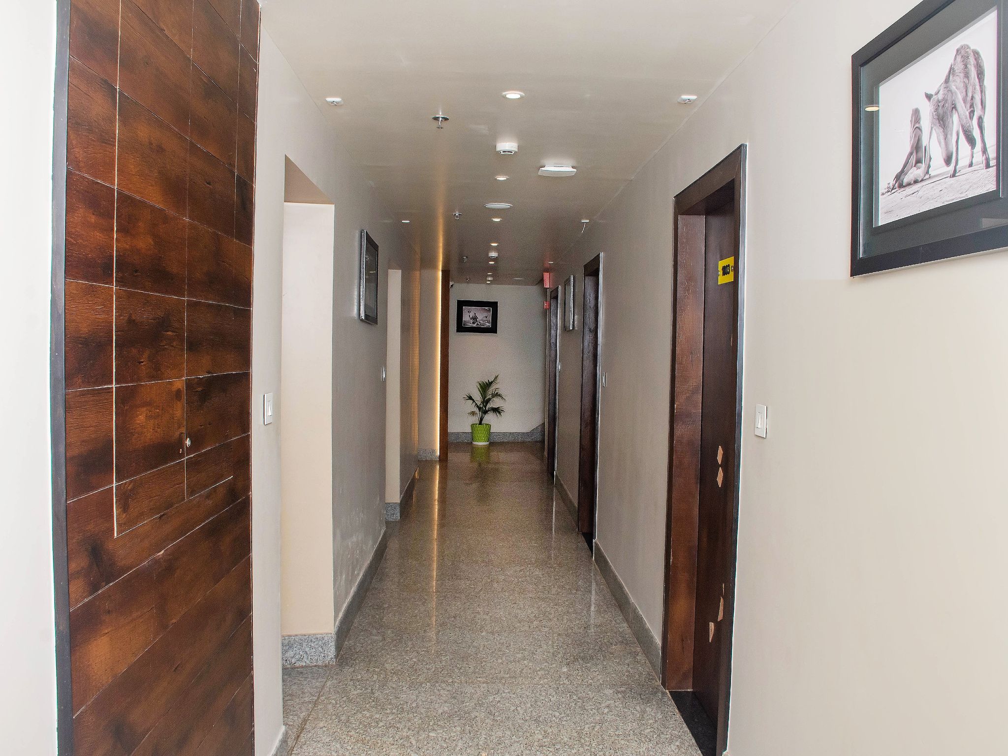 undefined Hotel Abhinav International 4