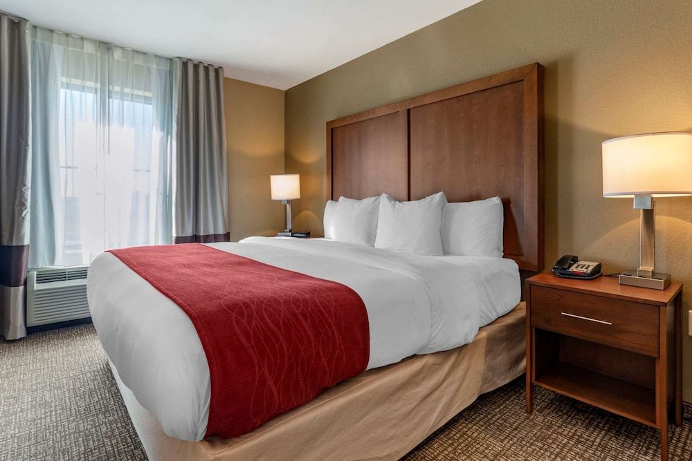 Suite, 1 King Bed with Sofa bed, Accessible, Non Smoking