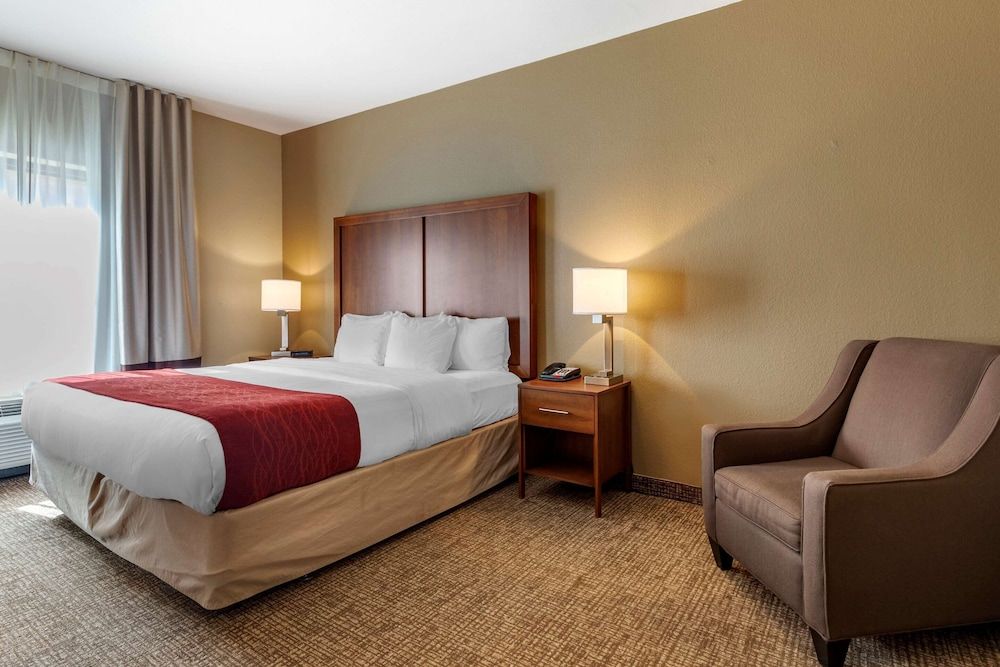 Room, 1 King Bed, Accessible, Non Smoking