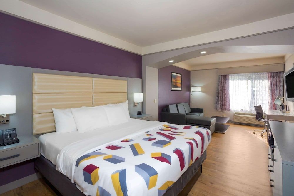 Suite, 1 King Bed