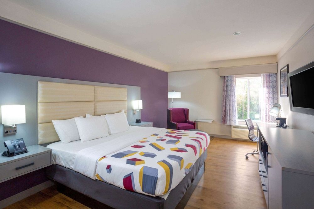 Room, 1 King Bed
