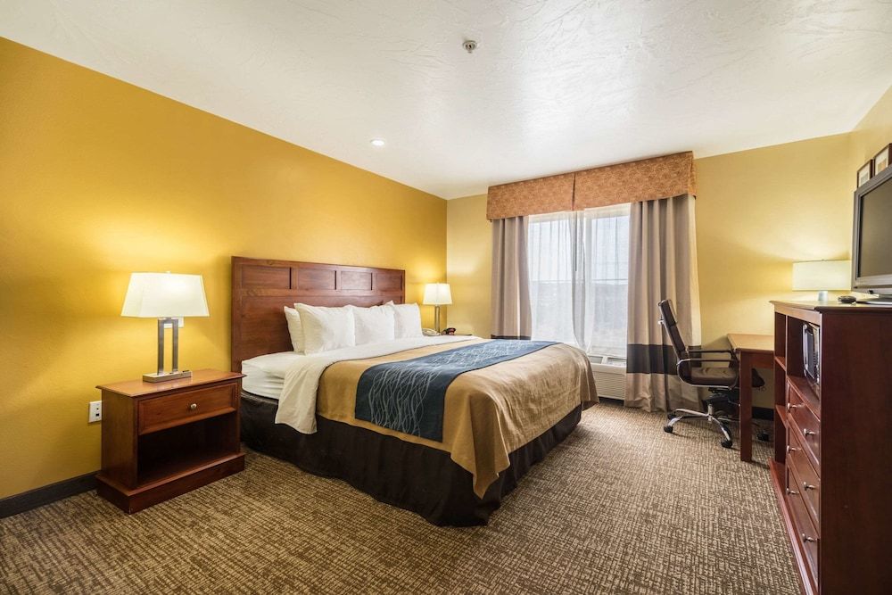 Room, 1 King Bed, Accessible, Non Smoking