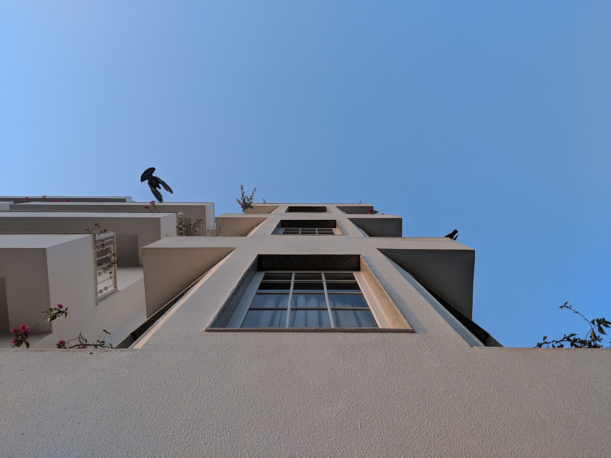 undefined Moustache Select Udaipur 9