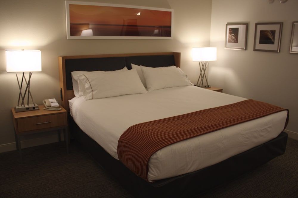 Standard Room, 1 King Bed (Pet Friendly)