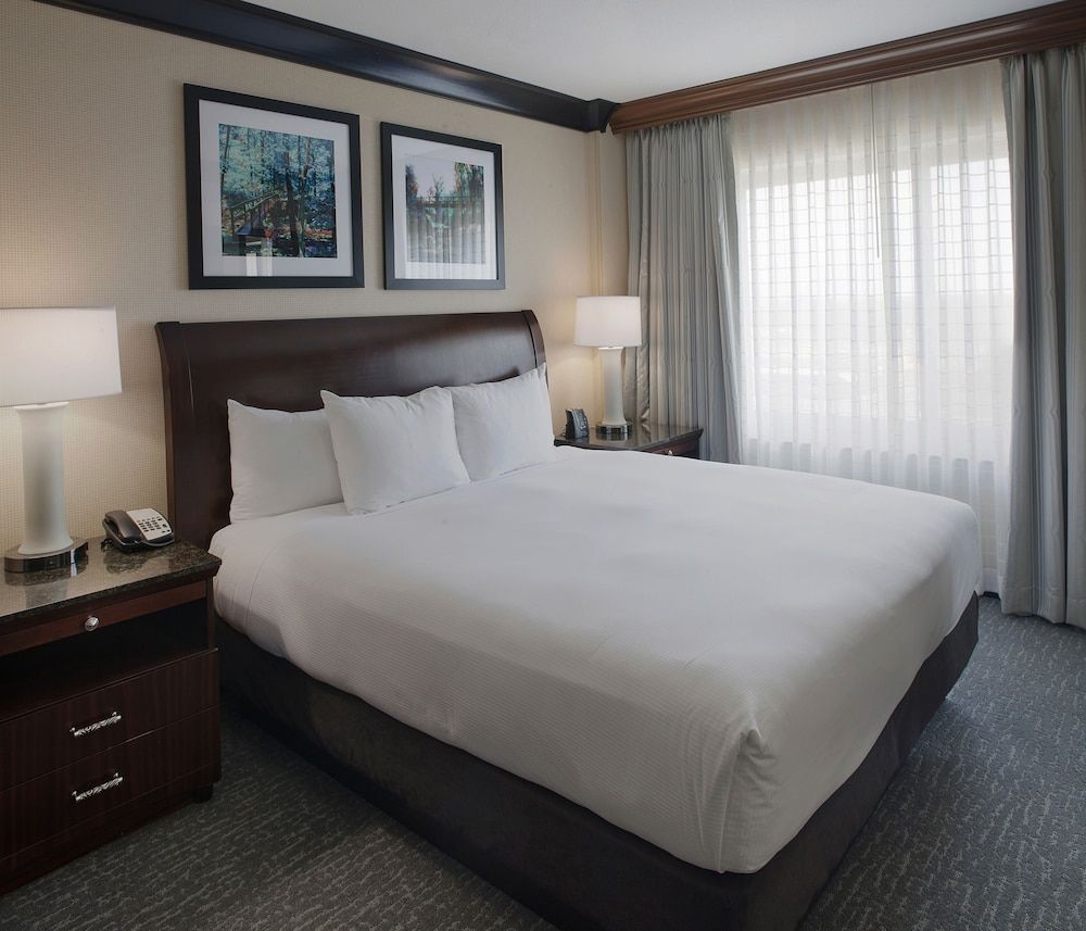 Suite, 1 King Bed, Accessible