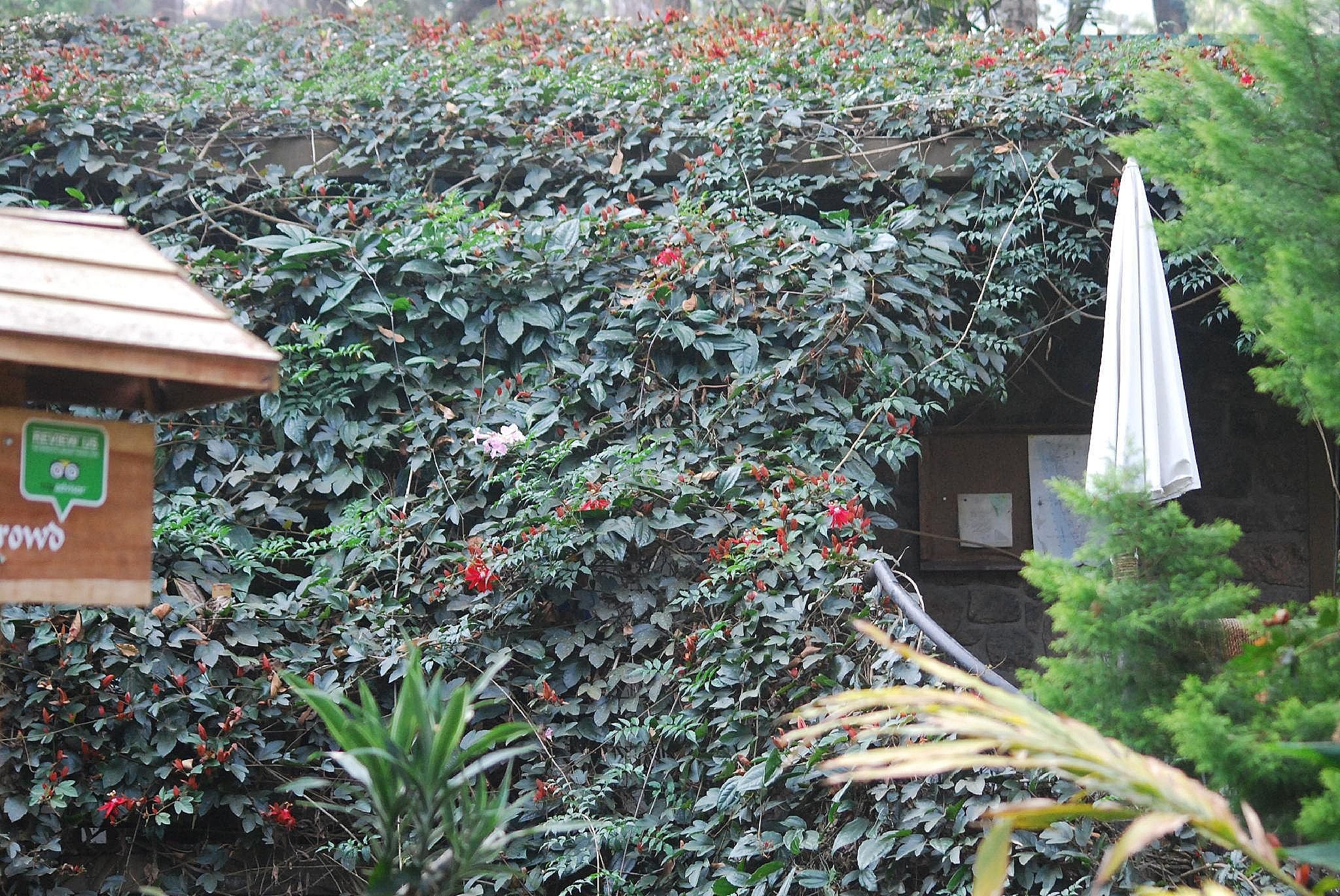 Surrounding environment