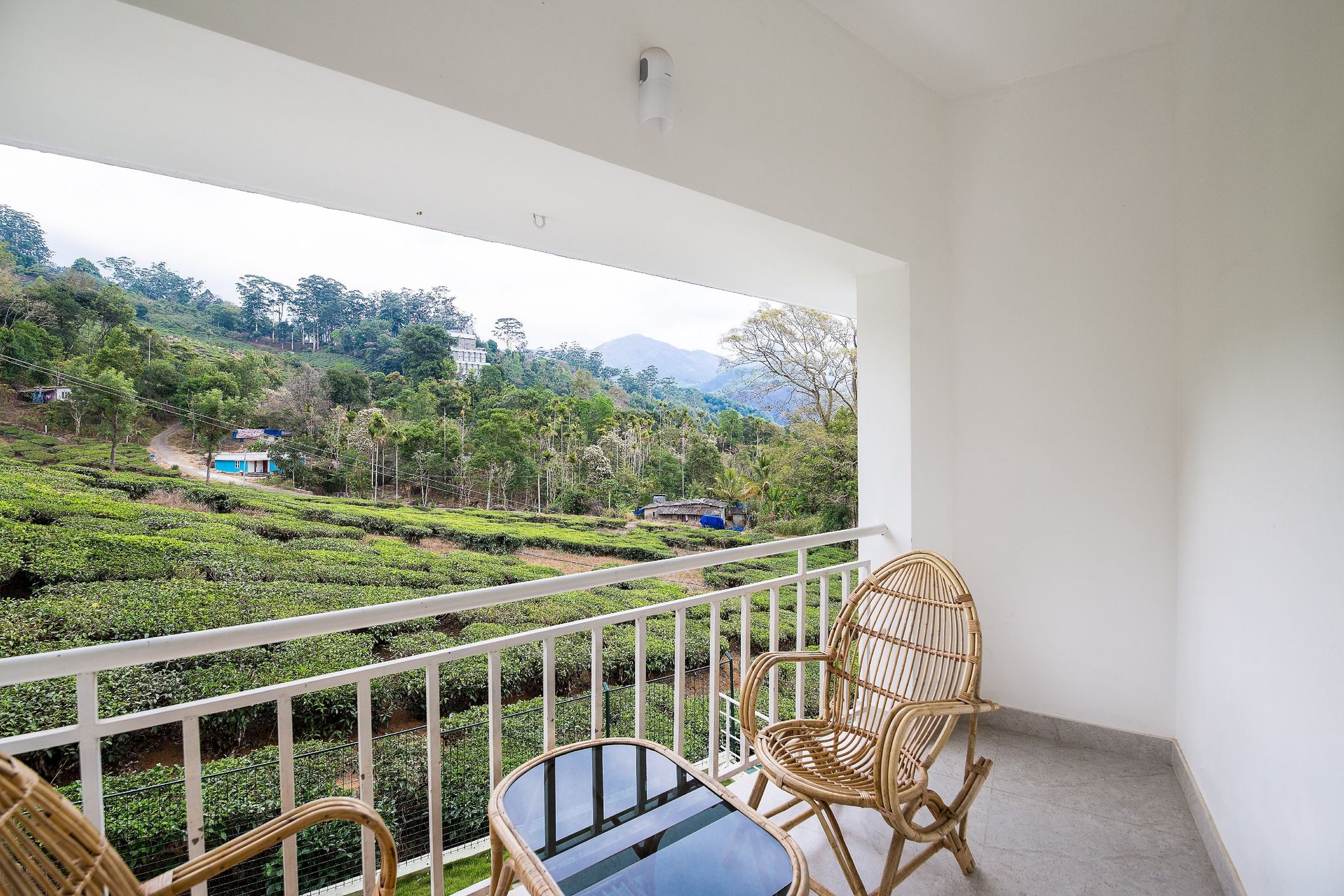 MONSOON GRANDE Grande Suite 4