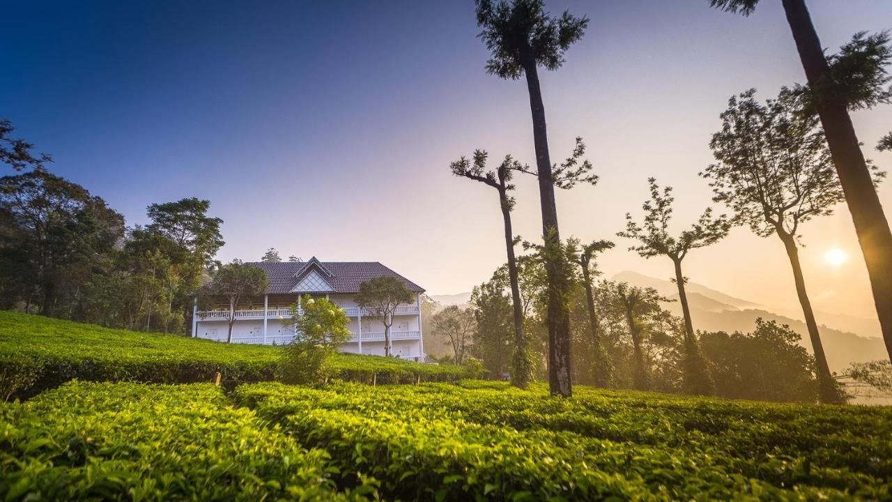 undefined Tea Harvester 7