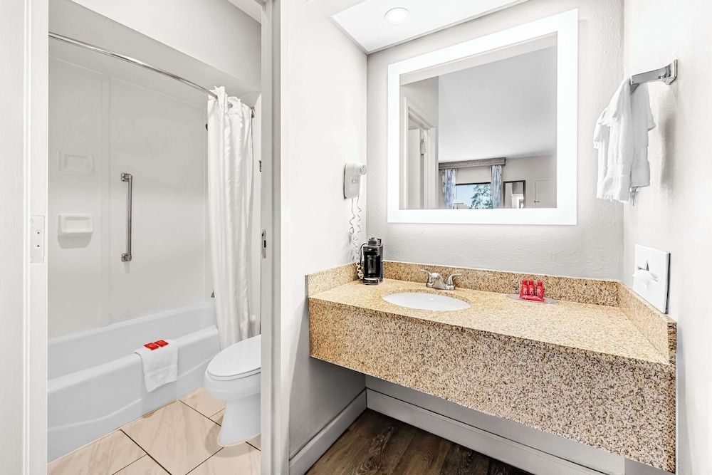 SureStay Plus Hotel by Best Western Southern Pines Pinehurst Standard Room, 1 King Bed, Non Smoking, Refrigerator & Microwave (Pet Friendly) 3