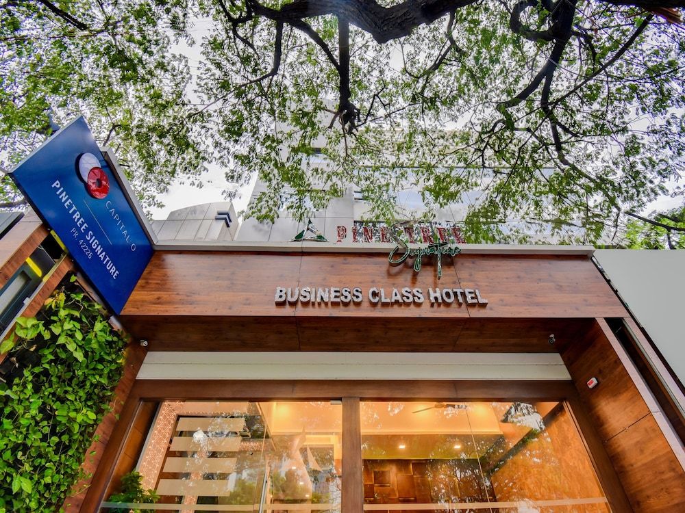 undefined Capital O 42226 Pine Tree Signature 5